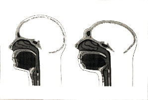 fig10